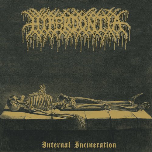 Internal Incineration (Remix)