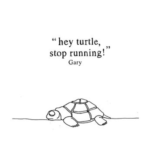 Hey Turtle, Stop Running!