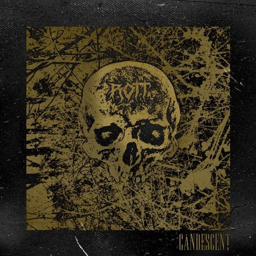 ROTT