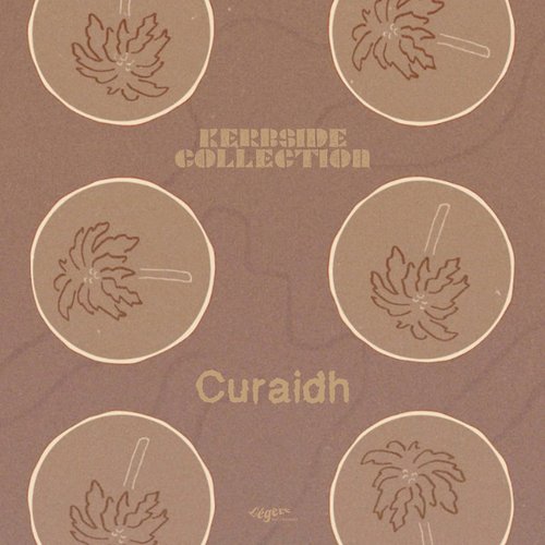 Curaidh