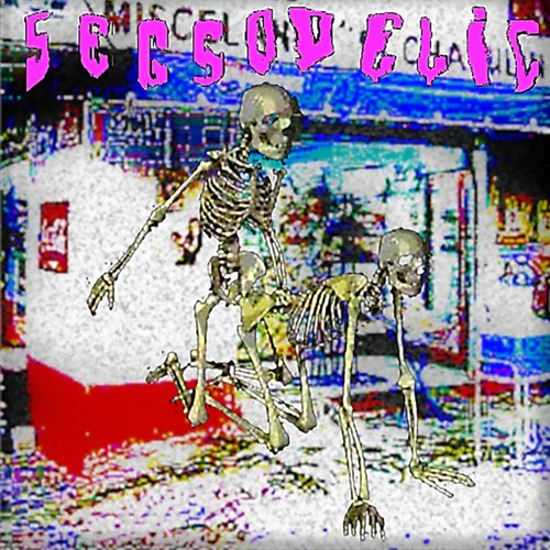 Segsodelic