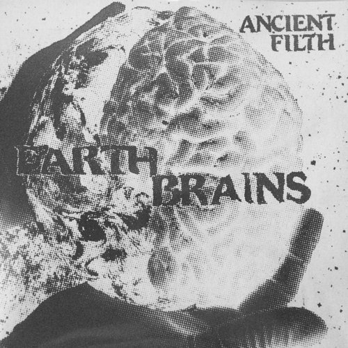 Earth Brains