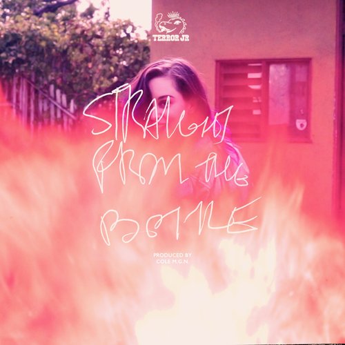 Straight From the Bottle - Single