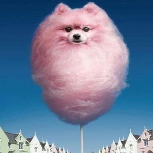CANDYFLOSS