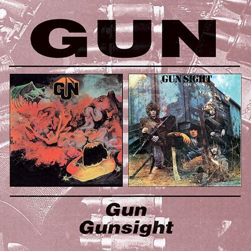 Gun / Gunsight