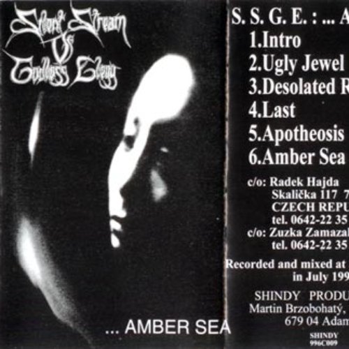 ... Amber Sea