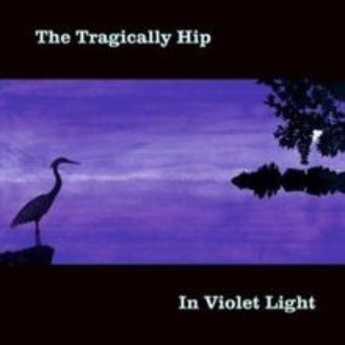 In Violet Light (International Version)