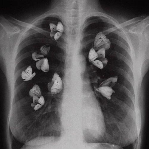 Butterfly Ribs - EP