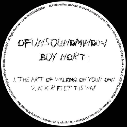 The Art Of Walking On Your Own / Never Felt This Way