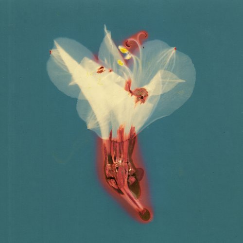 Lovin’ - Single