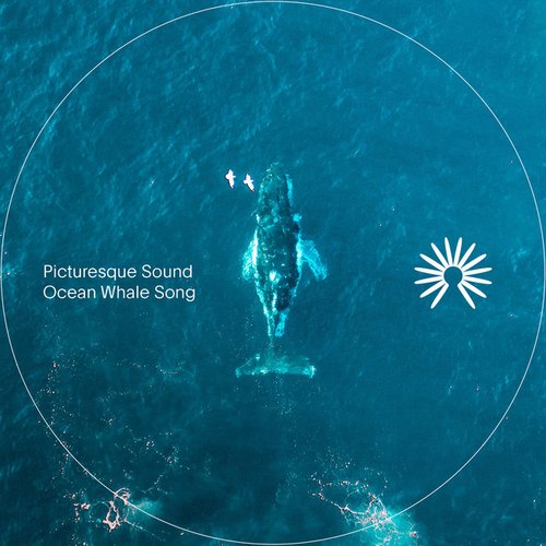 Ocean Whale Song