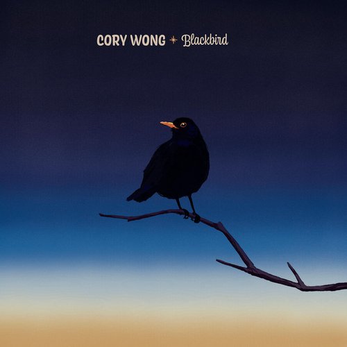 Blackbird