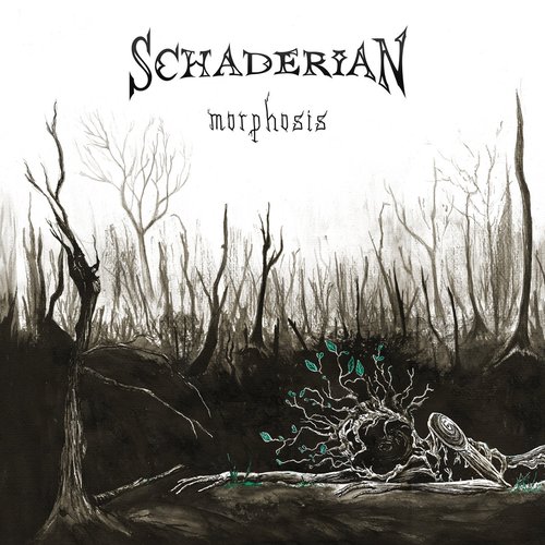 Morphosis