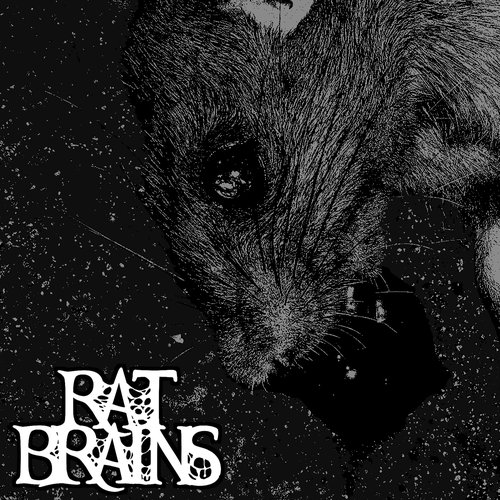 RAT BRAINS