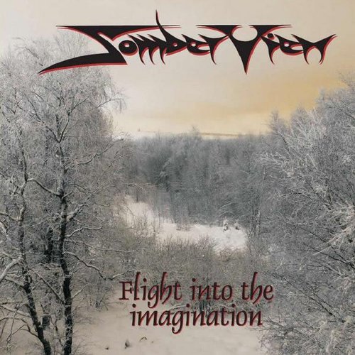 Flight Into The Imagination