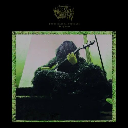 Professional Upstairs Neighbor