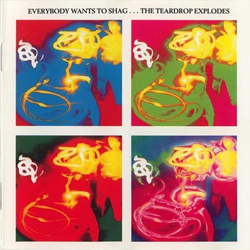 Everybody Wants to Shag... The Teardrop Explodes