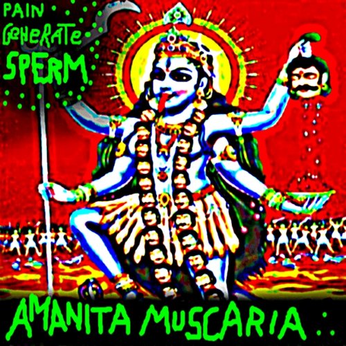Amanita Muscaria