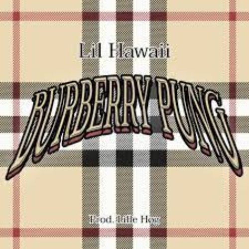 Burberry Pung