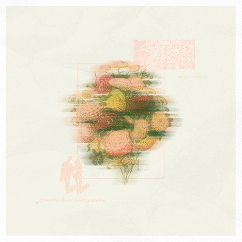 Flowers From Your Garden