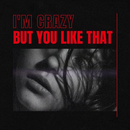 i'm crazy but you like that