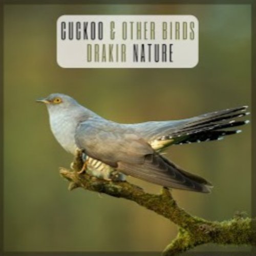 Cuckoo & Other Birds