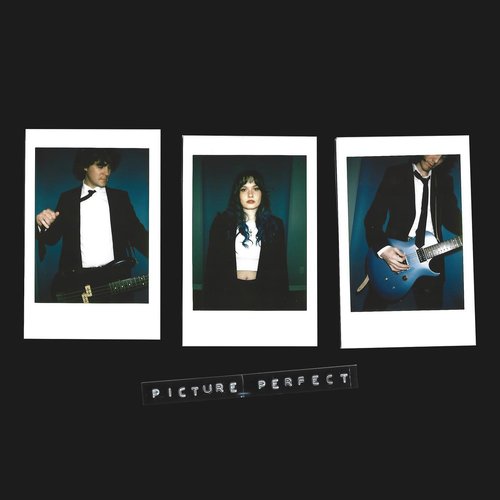 Picture Perfect - Single