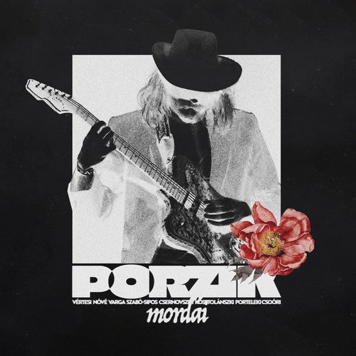 Porzik