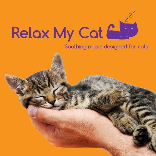 Cat Music for Sleep - Soothing Lullabies