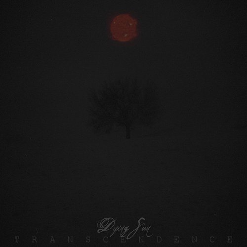 Transcendence