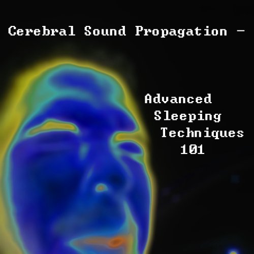 Advanced Sleeping Techniques 101