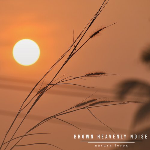 Brown Heavenly Noise