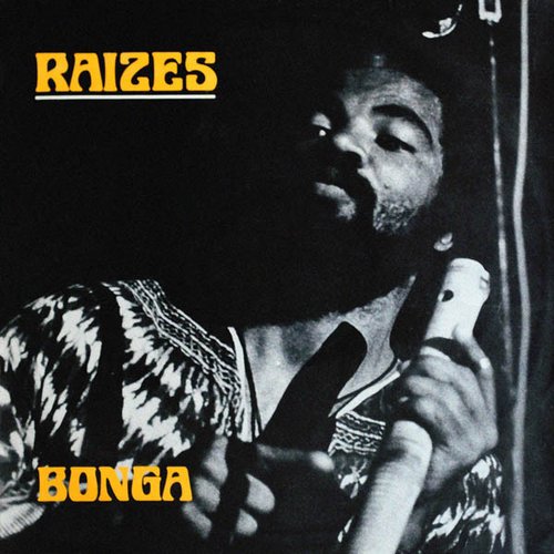 RAIZES