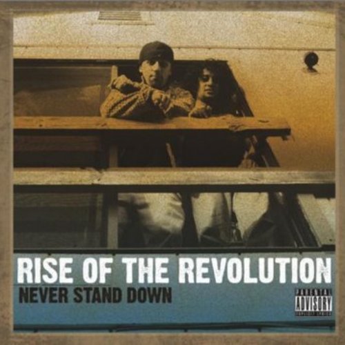 Never Stand Down