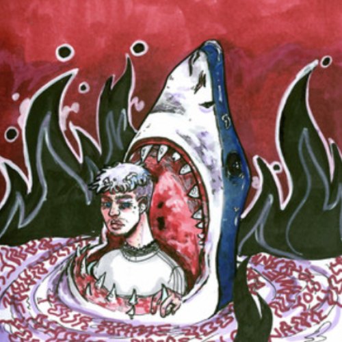 Sharks