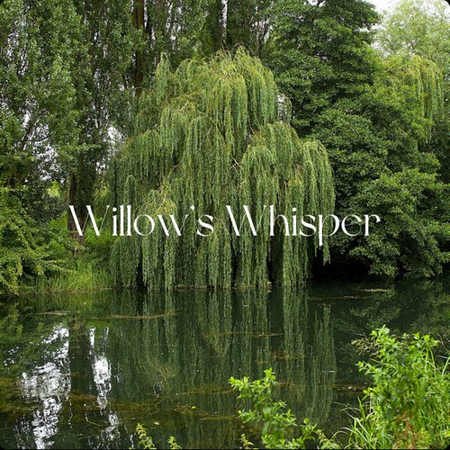 Willow's Whisper