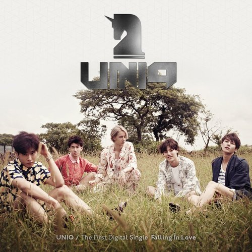 Falling In Love - Single