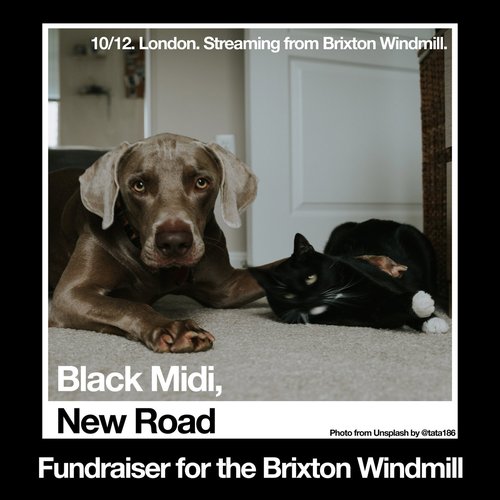 Black Midi, New Road