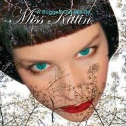 A Bugged Out Mix by Miss Kittin (disc 1: Perfect Night)
