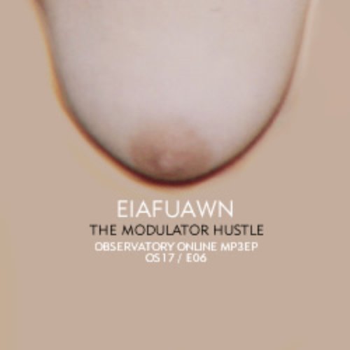 The Modulator Hustle