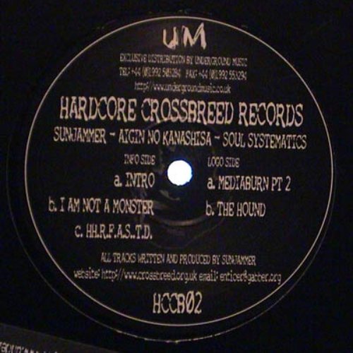 Aigin No Kanashisa - Soul Systematics