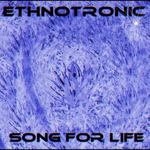 song for life ep