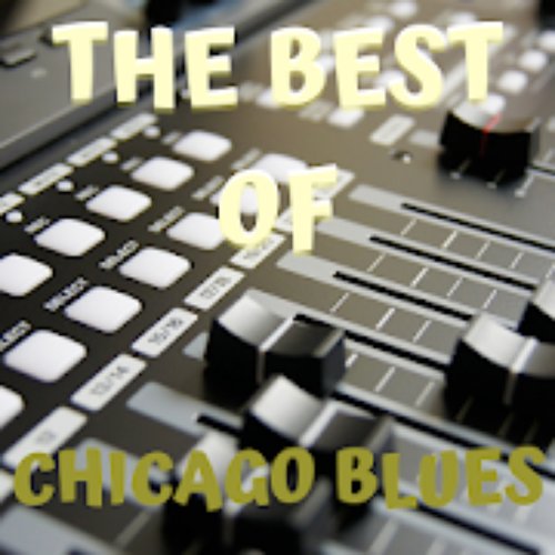 Chicago Blues 100