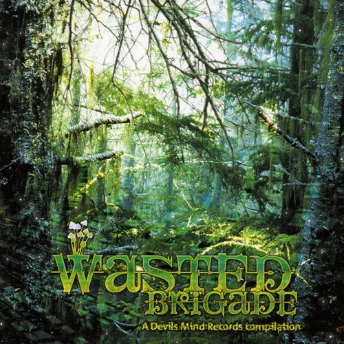 Wasted Brigade