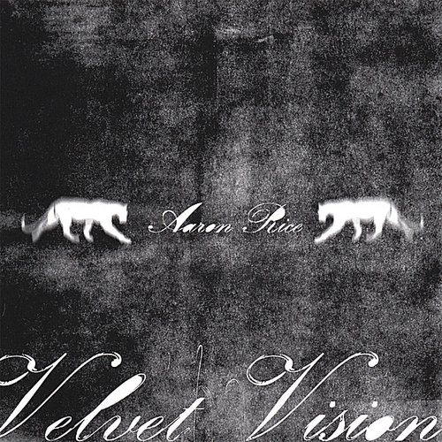 Velvet Vision