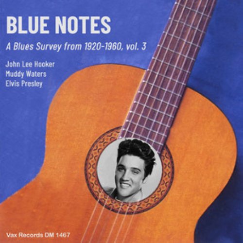 Blue Notes – A Blues Survey from 1920-1960, vol. 3