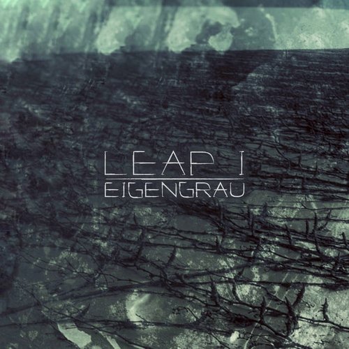 Leap I