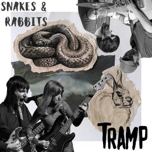 Snakes & Rabbits