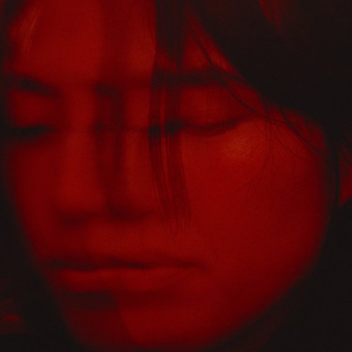 Not in Love - Single