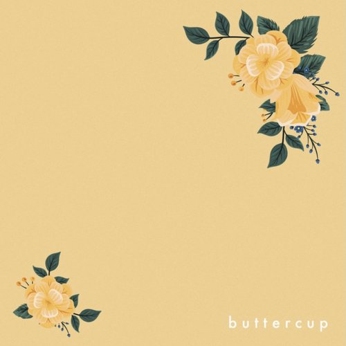 buttercup